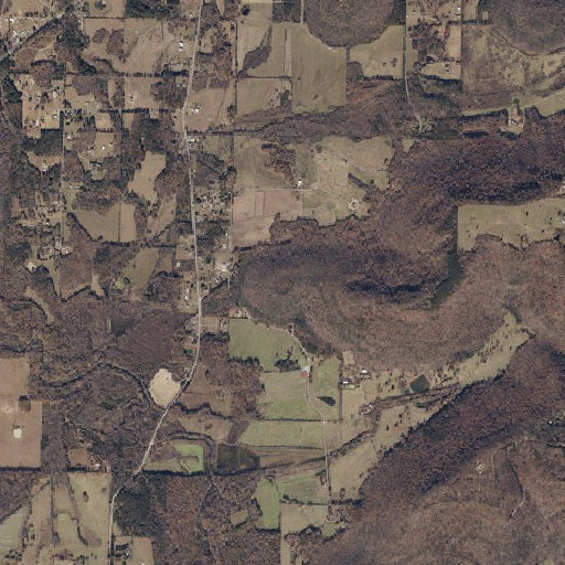 Aerial imagery of Wilson Point, AL