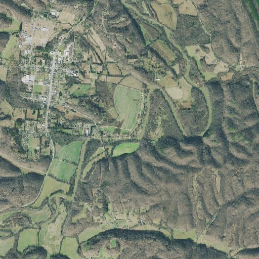 Aerial imagery of Leeper Bottom, TN