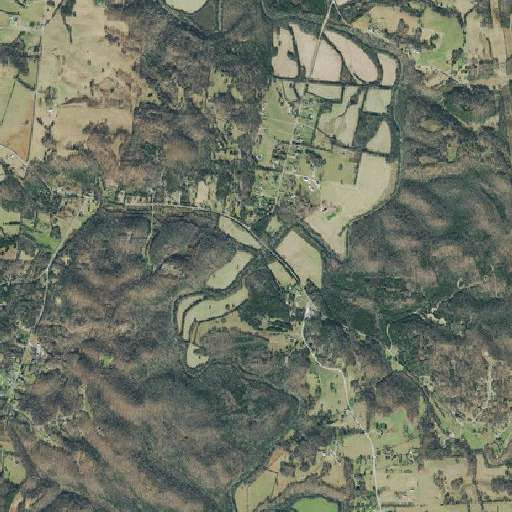 Aerial imagery of Long Tom Branch, TN