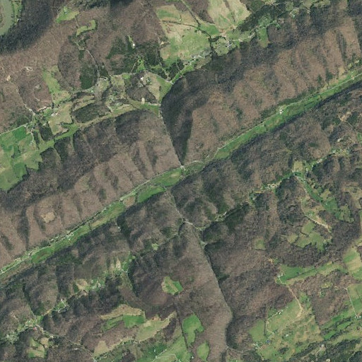 Aerial imagery of Machine Branch, TN