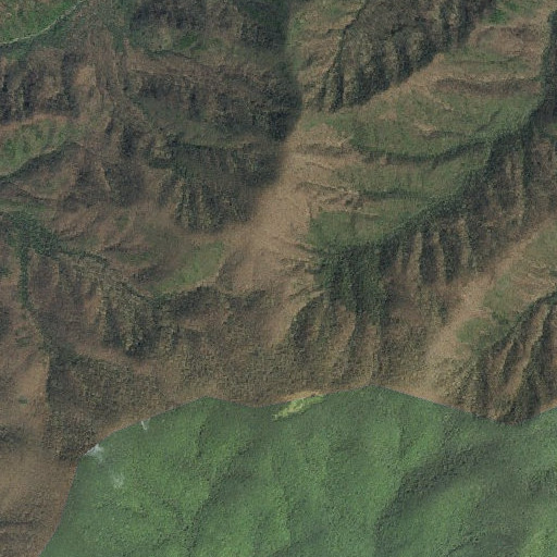 Aerial imagery of Panther Gap, TN