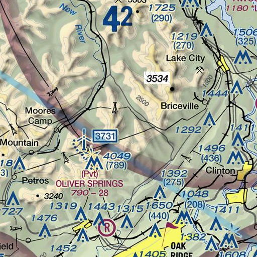 FAA VFR chart of Phillips Branch, TN