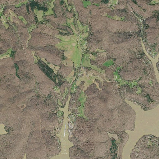 Aerial imagery of Braden School, TN