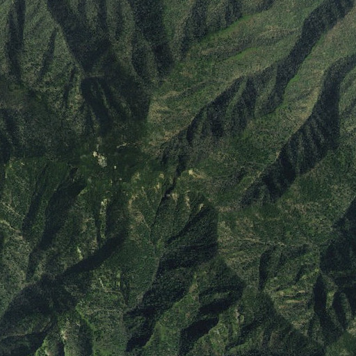 Aerial imagery of Myrtle Point, TN