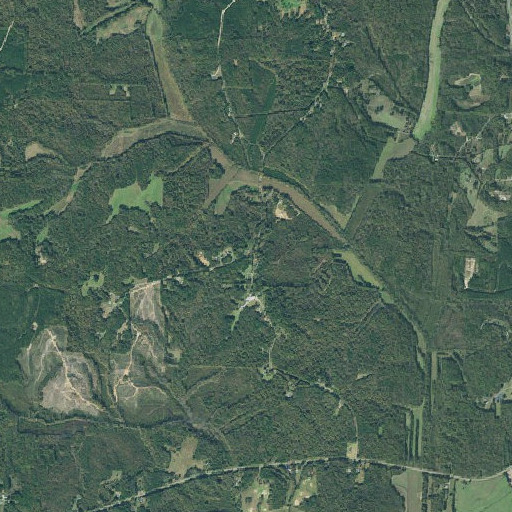 Aerial imagery of Sheppards Store (historical), TN