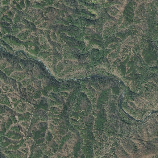 Aerial imagery of Butler Branch, TN