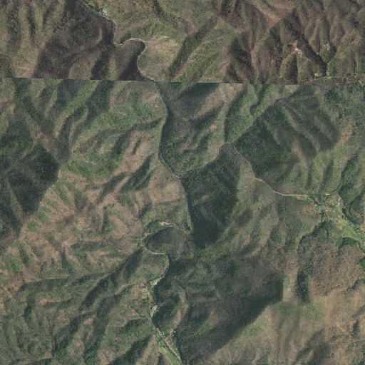 Aerial imagery of Elliot Branch, TN