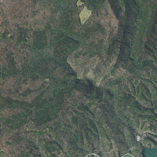Aerial imagery of Laurel Branch, TN