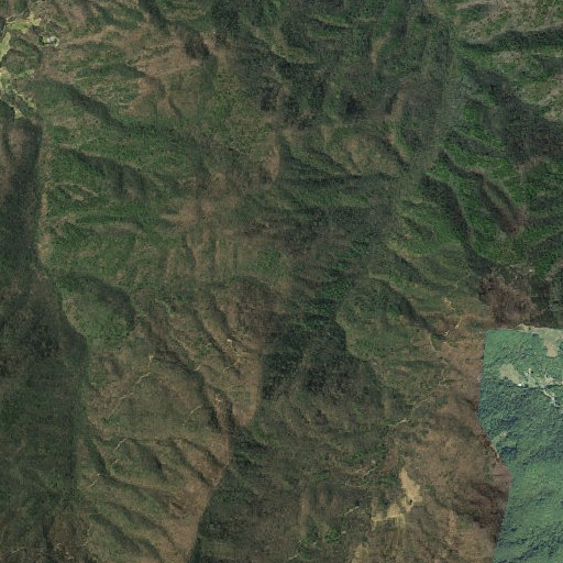 Aerial imagery of Low Gap, TN
