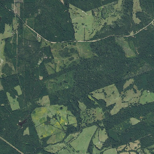 Aerial imagery of Cambell Branch, TX