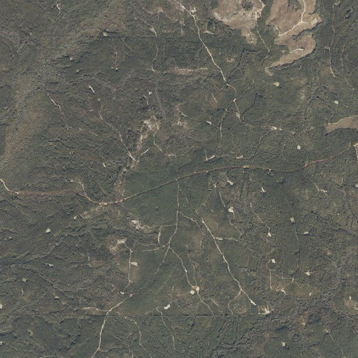 Aerial imagery of Turn Round, AL