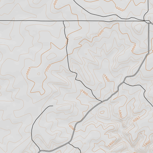 OpenTopoMap map of Everett Ranch, TX