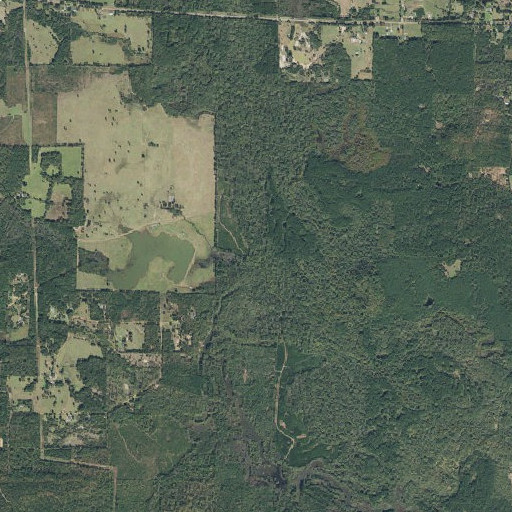 Aerial imagery of Goodson Branch, TX