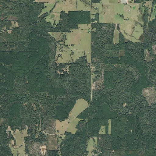 Aerial imagery of Prairie Branch, TX