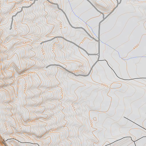 OpenTopoMap map of Rancho Cielo, TX