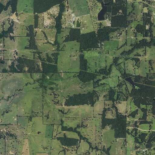 Aerial imagery of Tick Branch, TX