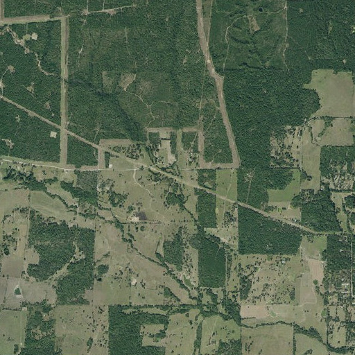 Aerial imagery of Gum Branch, TX
