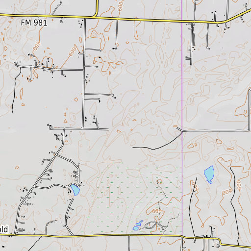 OpenTopoMap map of Lee Creek, TX