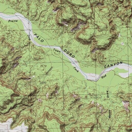 USGS 24K topo map of Leigh Arroyo, TX