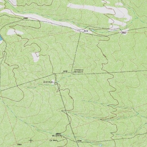 USGS 24K topo map of Lineberry Windmill, TX