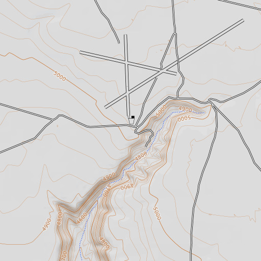OpenTopoMap map of MacGuire Ranch, TX