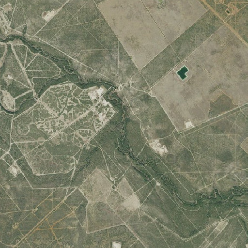 Aerial imagery of Martin Branch, TX