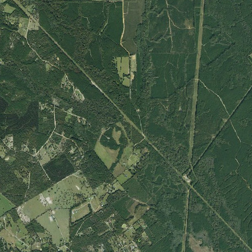 Aerial imagery of Mathis Branch, TX