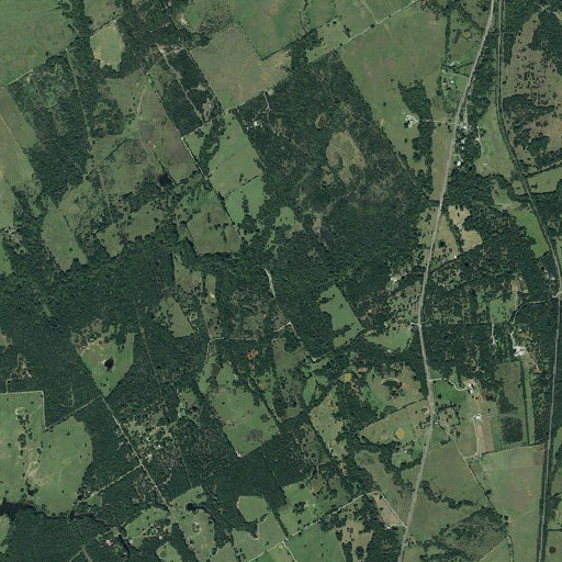 Aerial imagery of Mustang Branch, TX