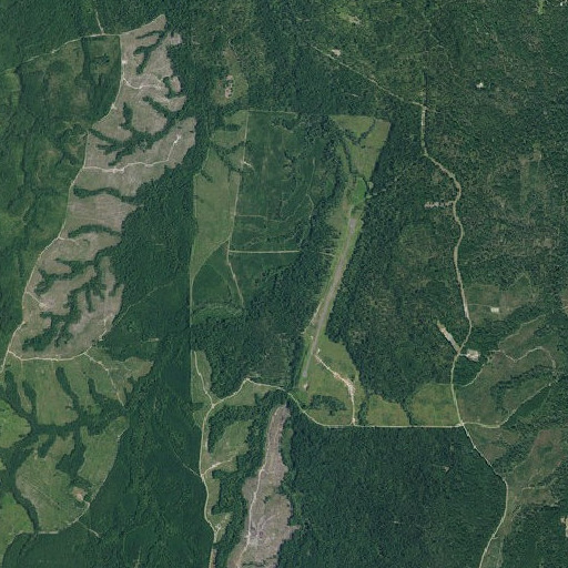 Aerial imagery of Ole Doc Branch, TX