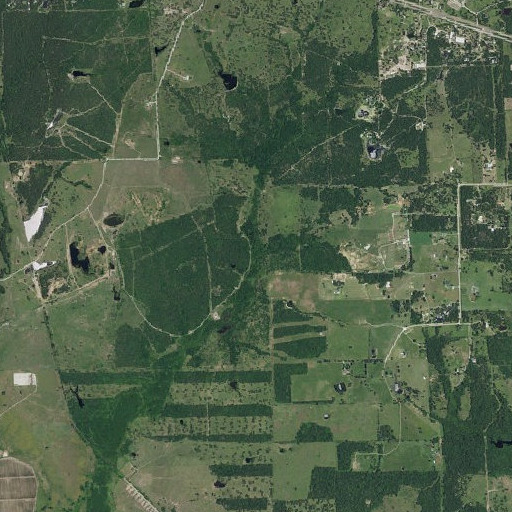 Aerial imagery of Sand Branch, TX