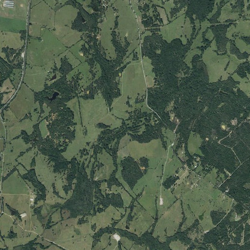 Aerial imagery of Sand Branch, TX