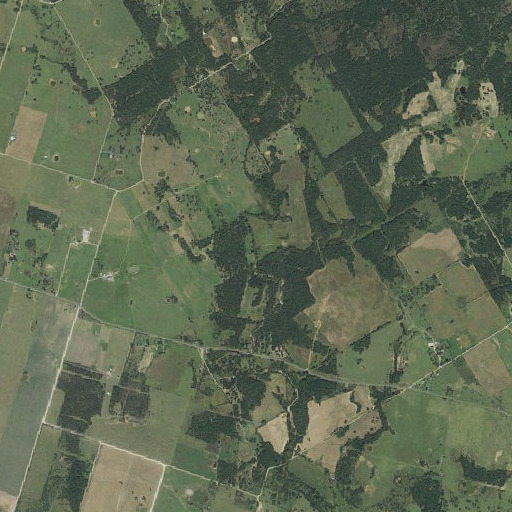 Aerial imagery of String Prairie Branch, TX