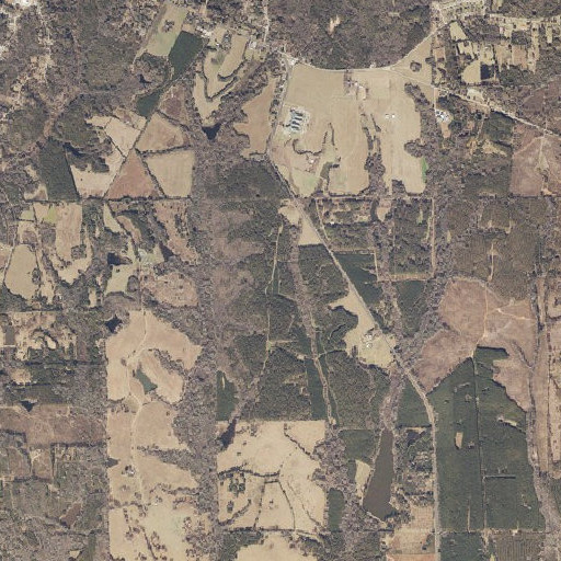 Aerial imagery of Rush Cemetery, AL