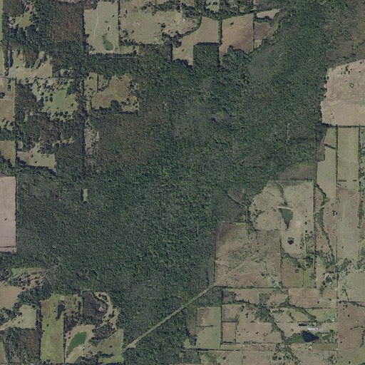 Aerial imagery of North Caney Creek, TX