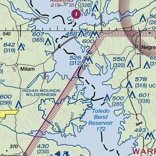 FAA VFR chart of Goodloe Bluff, TX
