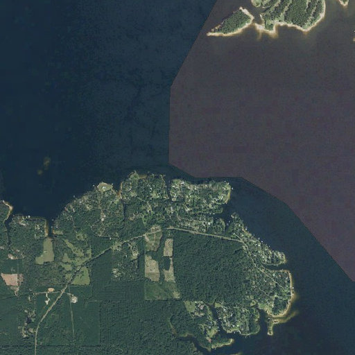 Aerial imagery of Goodloe Bluff, TX