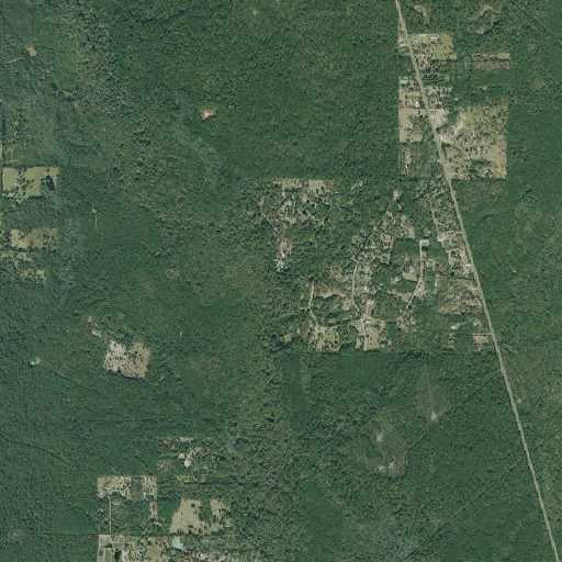 Aerial imagery of Hickman Branch, TX