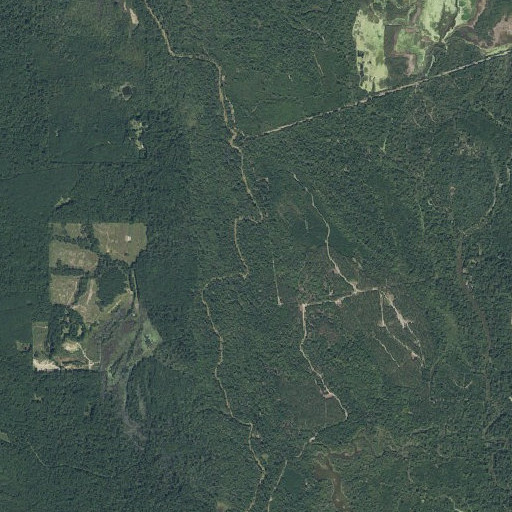 Aerial imagery of Hog Head Bluff, TX