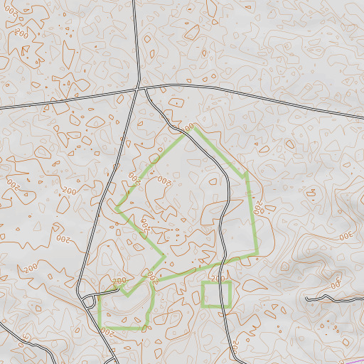 OpenTopoMap map of Holly Branch, TX
