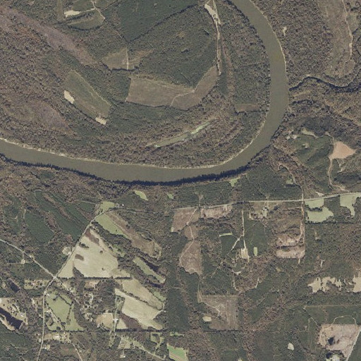 Aerial imagery of Black Bluff Landing, AL