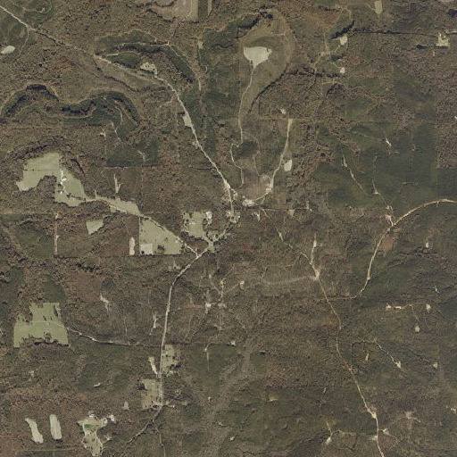 Aerial imagery of Oak Bowery, AL