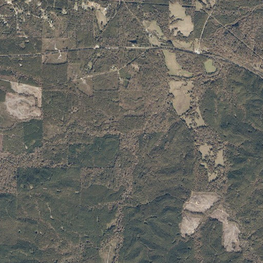 Aerial imagery of Coleman Branch, AL