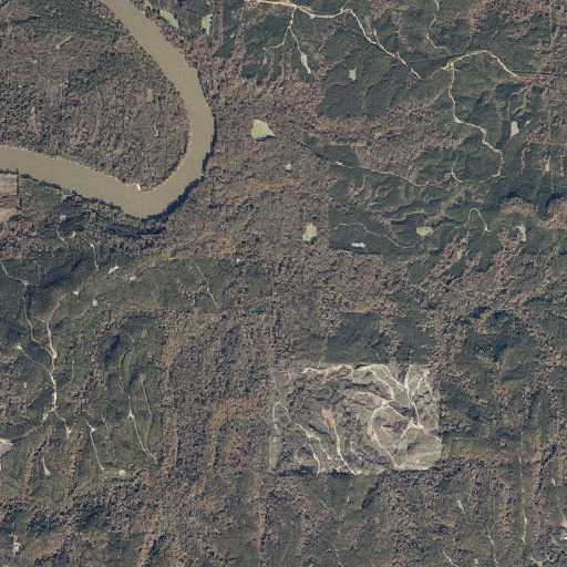 Aerial imagery of Ferrell Branch, AL