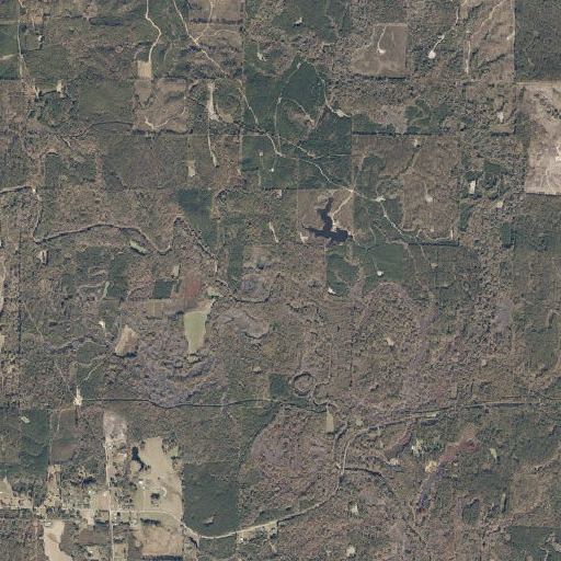 Aerial imagery of Goose Neck Bend, AL