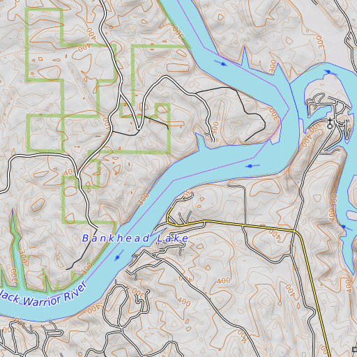 OpenTopoMap map of Taylor Ferry (historical), AL