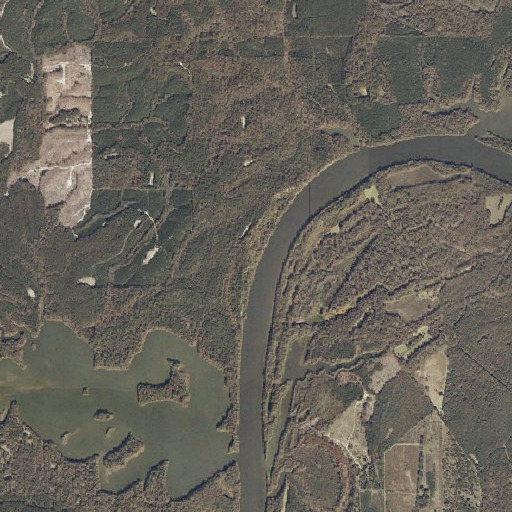 Aerial imagery of Red Bluff, AL
