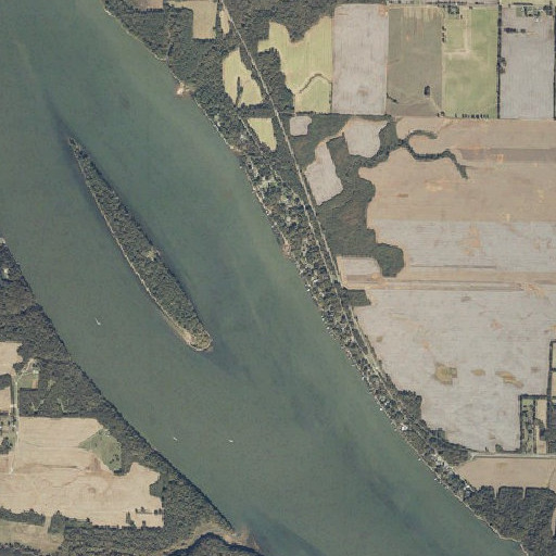 Aerial imagery of Cave Spring Branch, AL