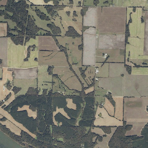 Aerial imagery of Foster Spring, AL