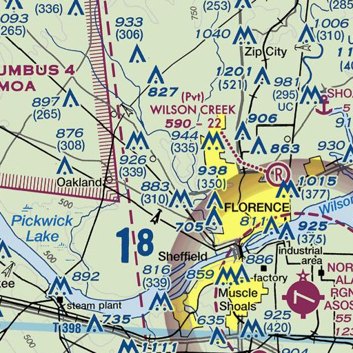 FAA VFR chart of Jackson Ford, AL