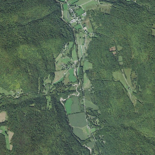Aerial imagery of Carpenter Brook, VT